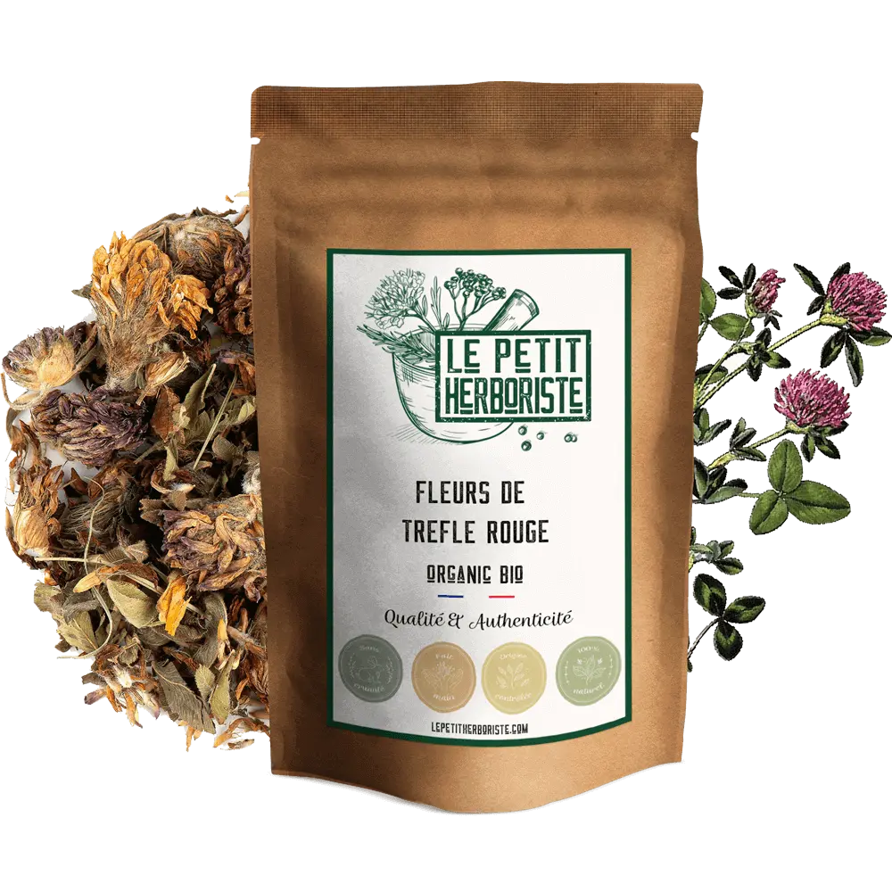 Tisana al trifoglio rosso